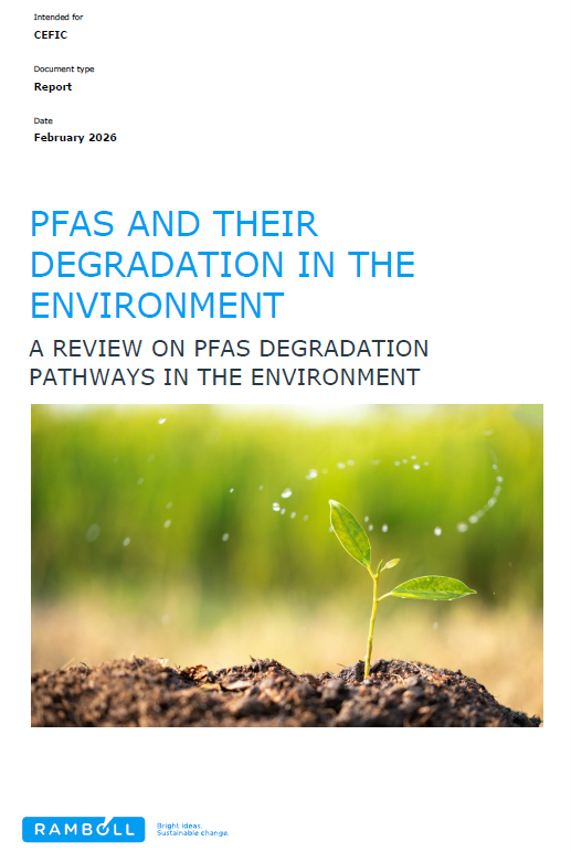 PFAS and their degradation in the environment